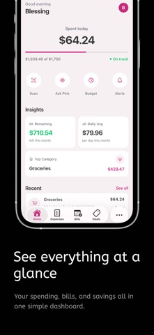 Pink Finance AI iPhone screenshot
