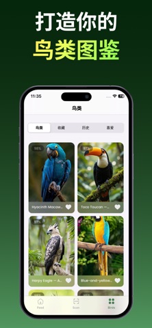 鸟类识别：叫声与拍照 screenshot