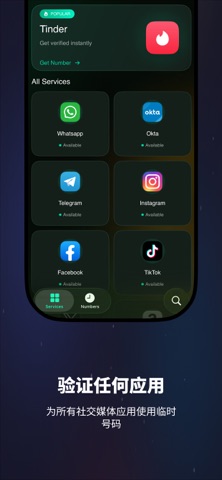 TempSMS 虚拟验证 screenshot