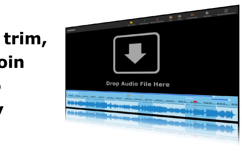 Screenshot #2 pour AudioCutPro