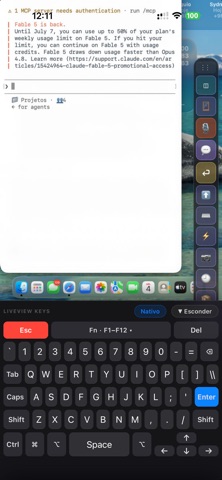 LiveView screenshot