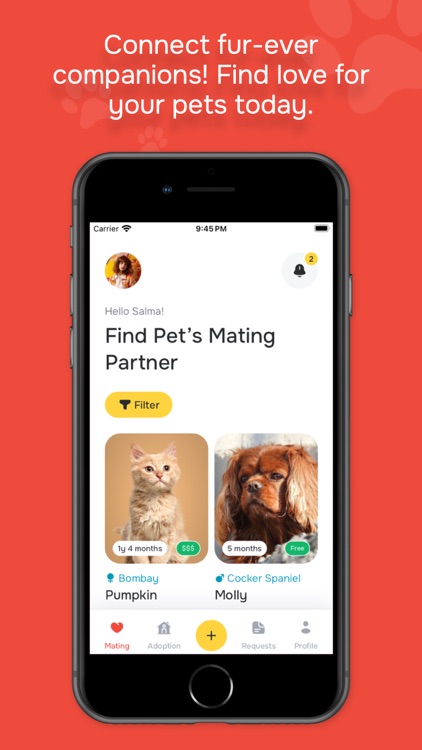 Wagglor: Pet Mating & Adoption