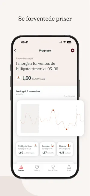 OK Hjem: Dit elpris-overblik screenshot 3