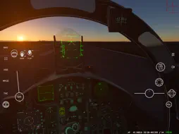 Red Flag Sim screenshot 14