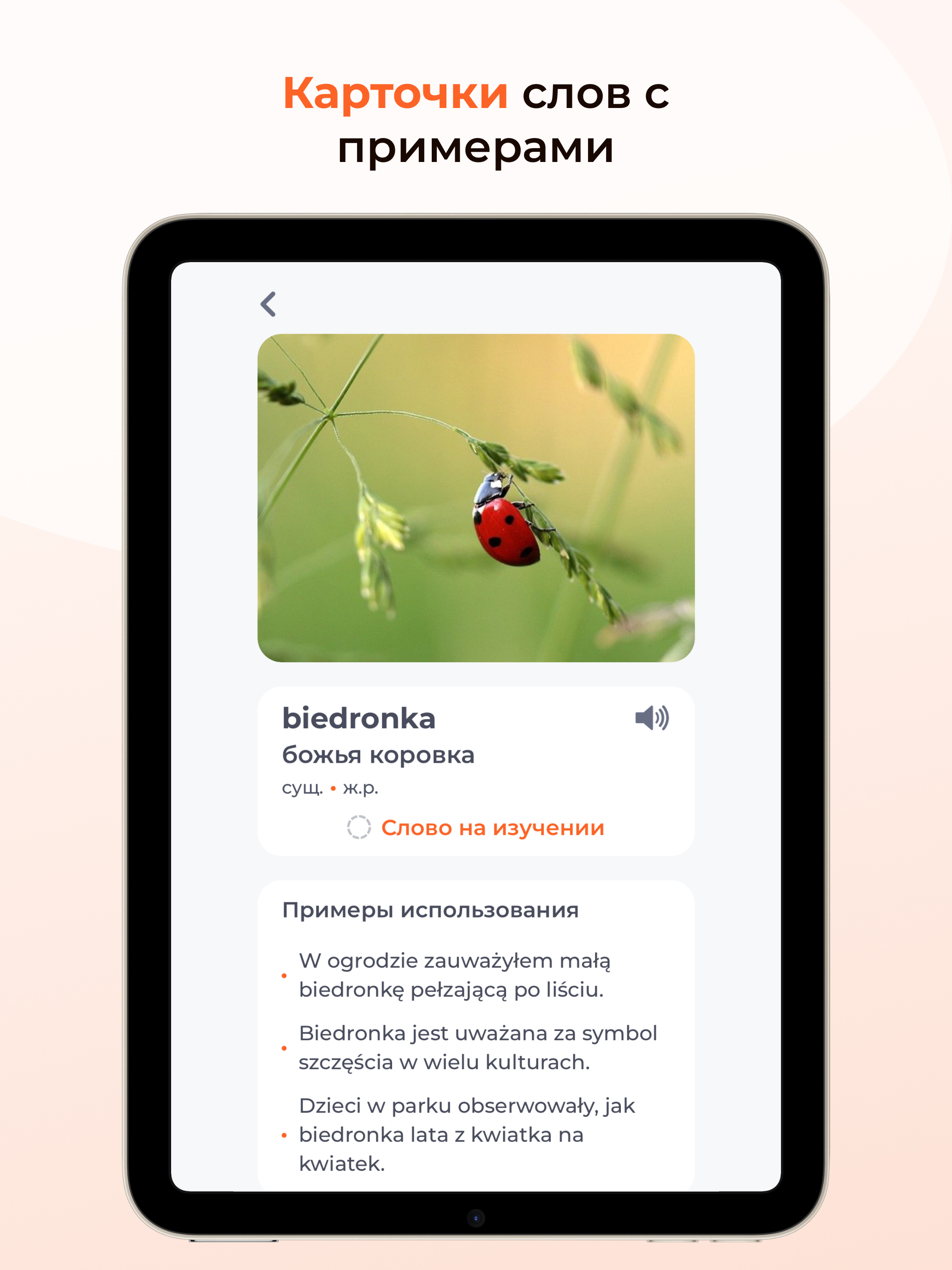 ЯПОЛЯК. Польский язык