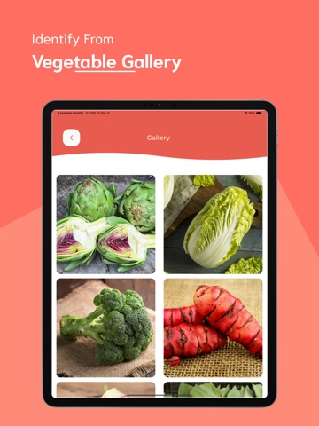 Vegetable Identifier iPad screenshot