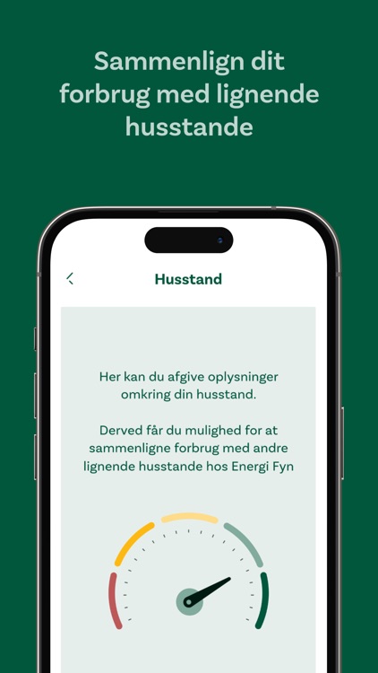 Energi Fyn screenshot-5