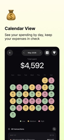 Expense Tracker - Timdo Screenshot 3 of 7