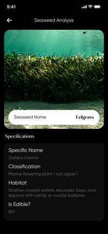 Sea Shell Identifier : Shelify screenshot