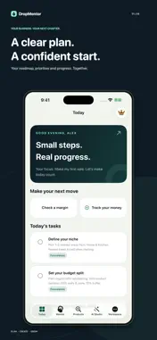 DropMentor: AI Business Plan screenshot 1