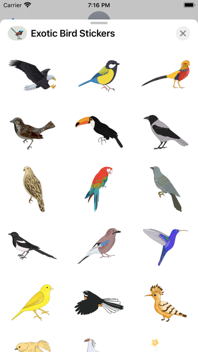 Exotic Bird Stickers Screenshot