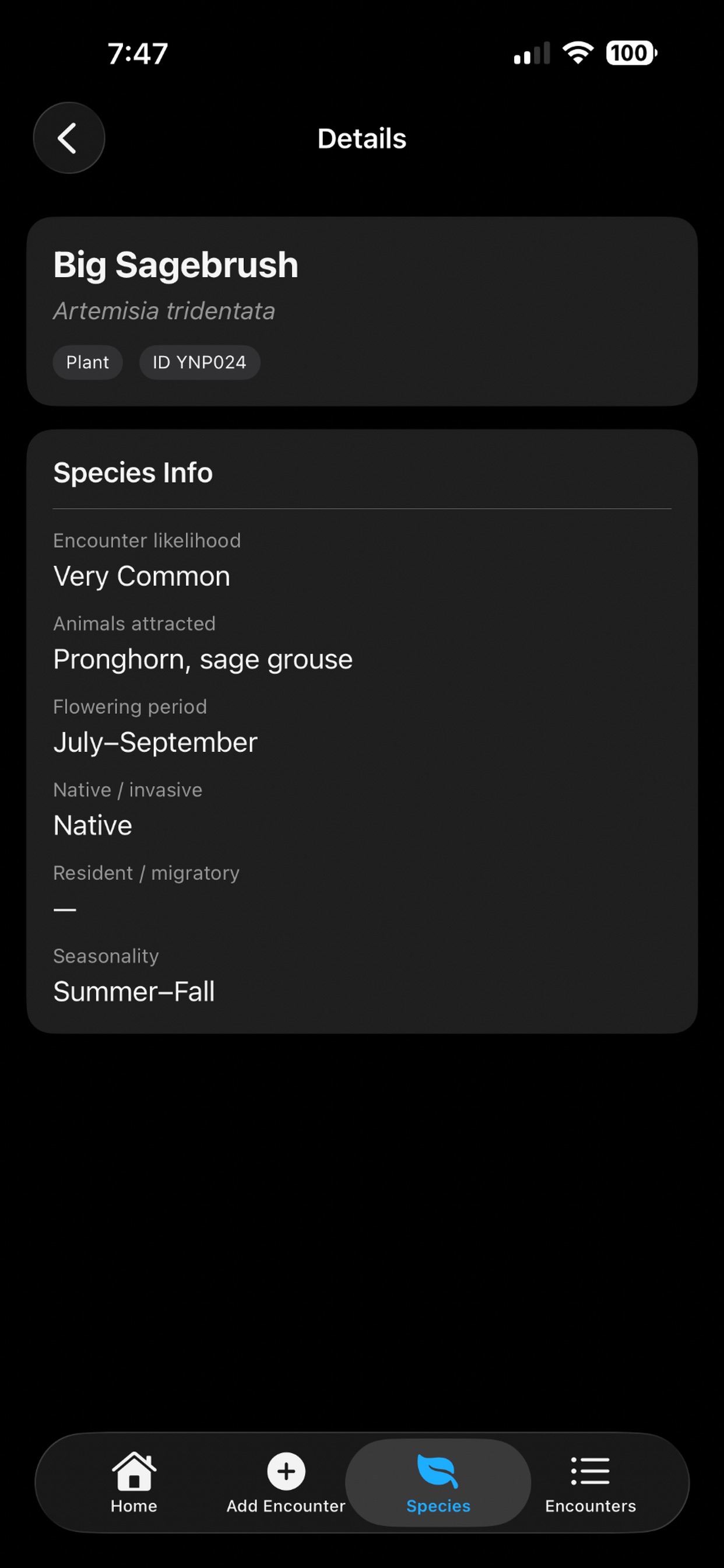 Screenshot 6 of YNPAdventure