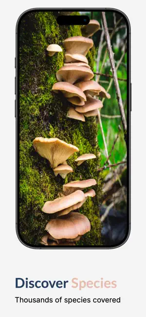 Mushroom Scanner - Identifier screenshot 2