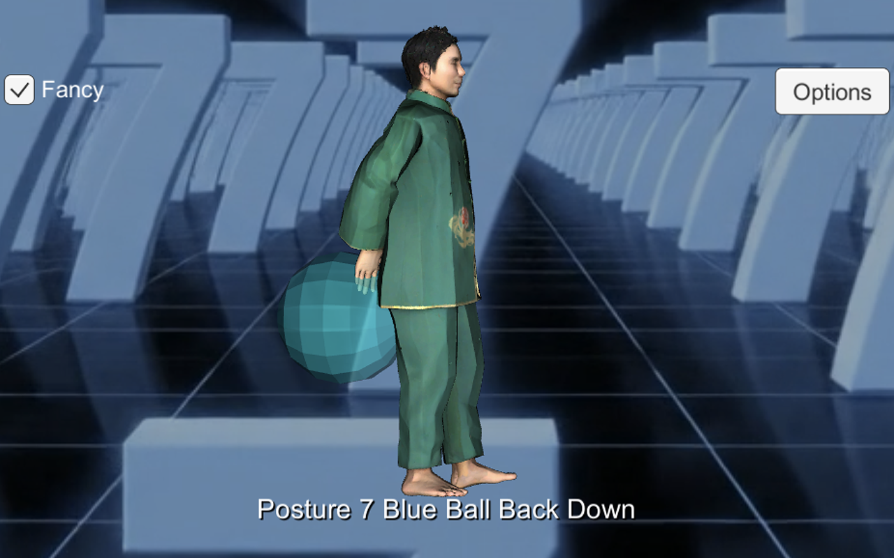 Tai Chi Posture Number screenshot 8