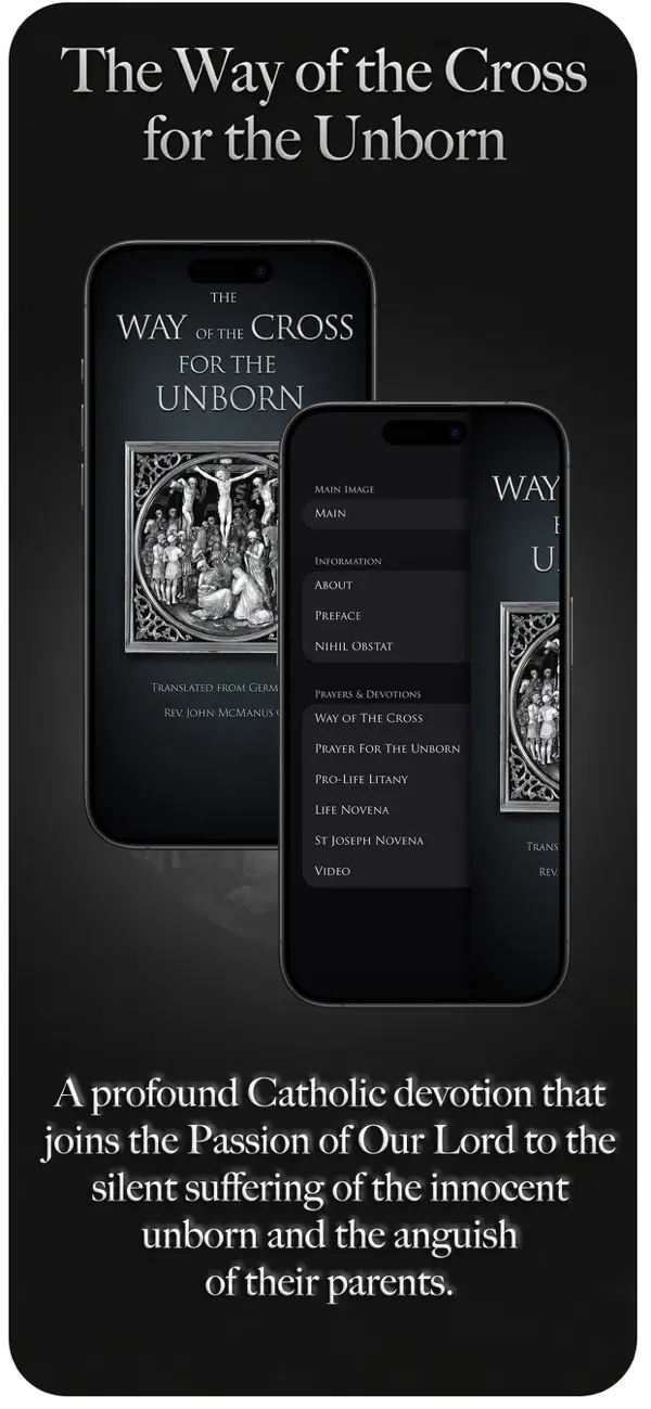 Screenshot #1 pour Stations For The Unborn