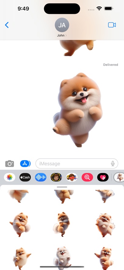 Dancing Pomeranian