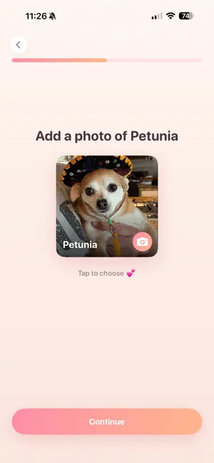 Snugget screenshot 2