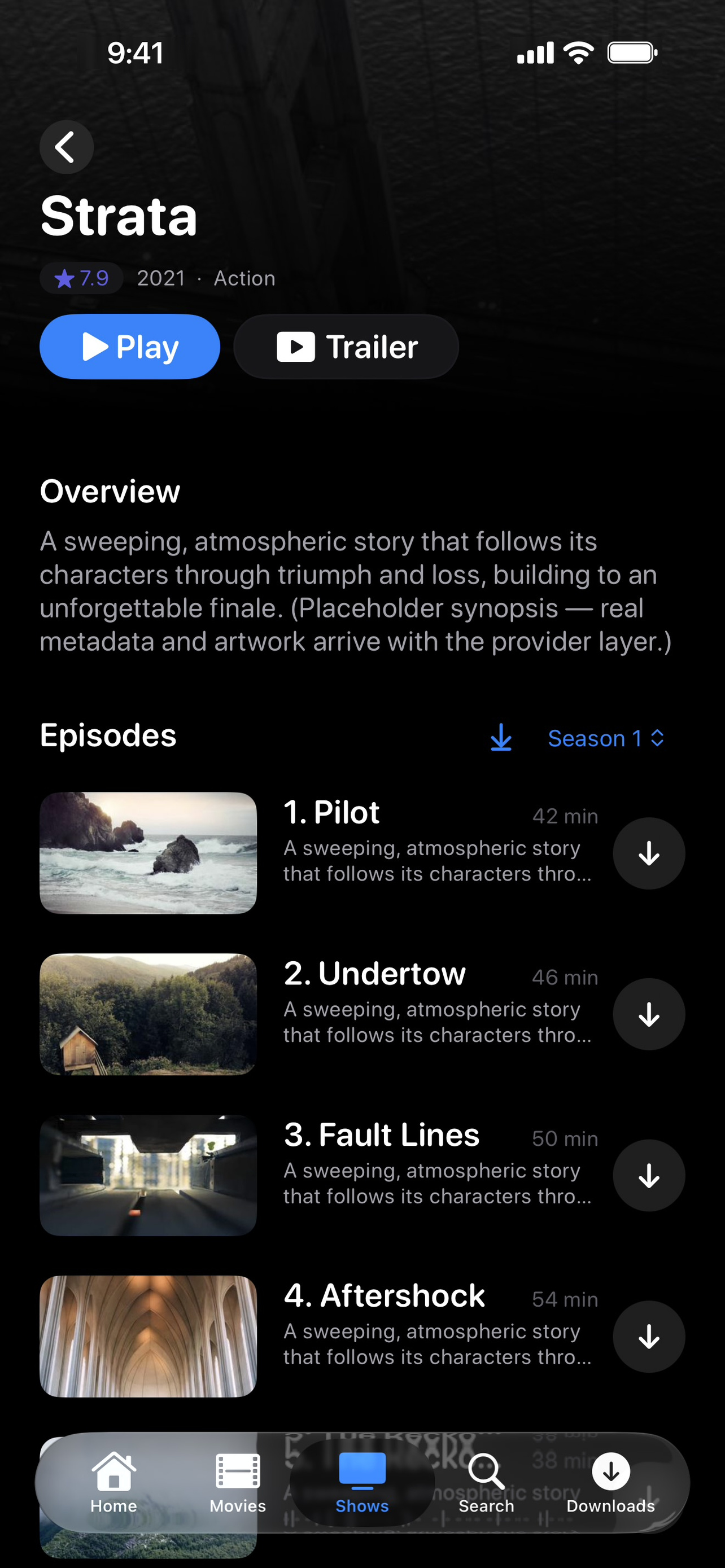 Vizion Player screenshot 3