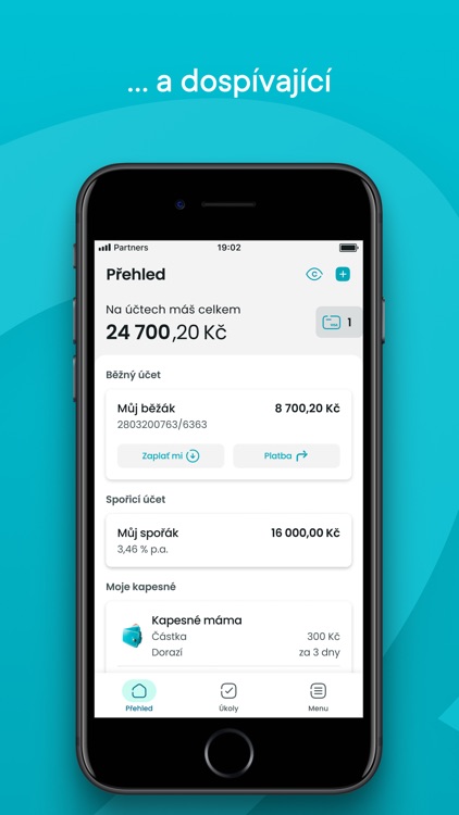 Partners screenshot-6