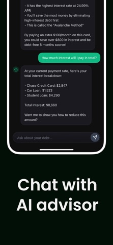 Debt Payoffs Tracker screenshot