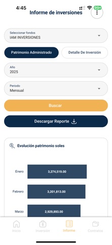 IAM Group screenshot