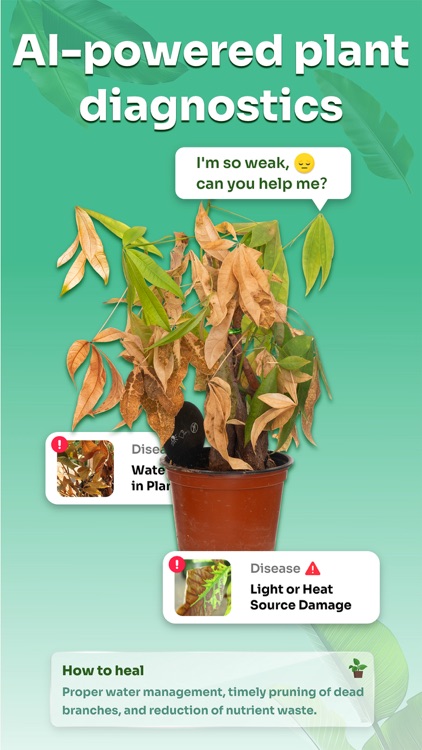 Talking Plant: AI plant care