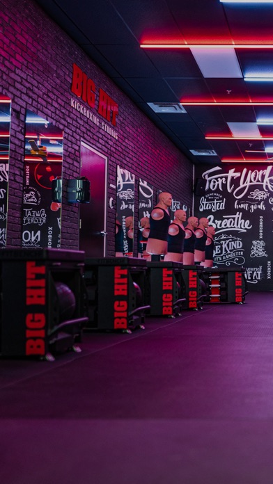 Big Hit Kickboxing Studios Screenshot