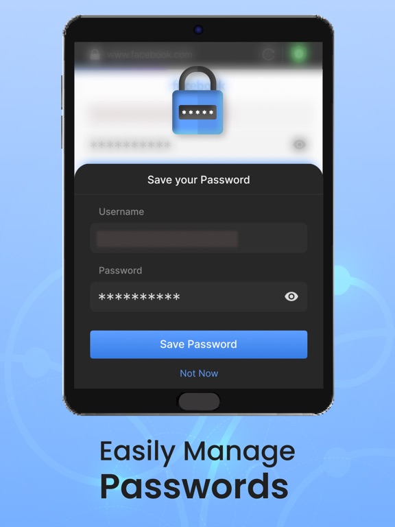 Private Browser,Incognito VPN iPad screenshot 4 - Reference app