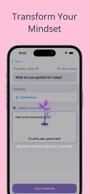 Gratitude Journal: Daily Joy screenshot 3