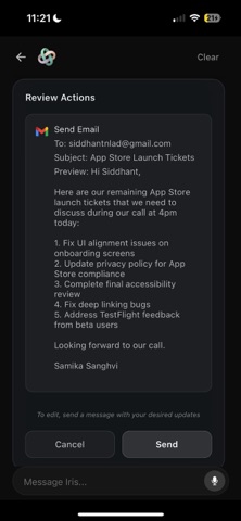 Iris - Personal Assistant screenshot