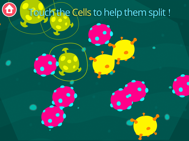 ‎Earth School - Science Games Screenshot