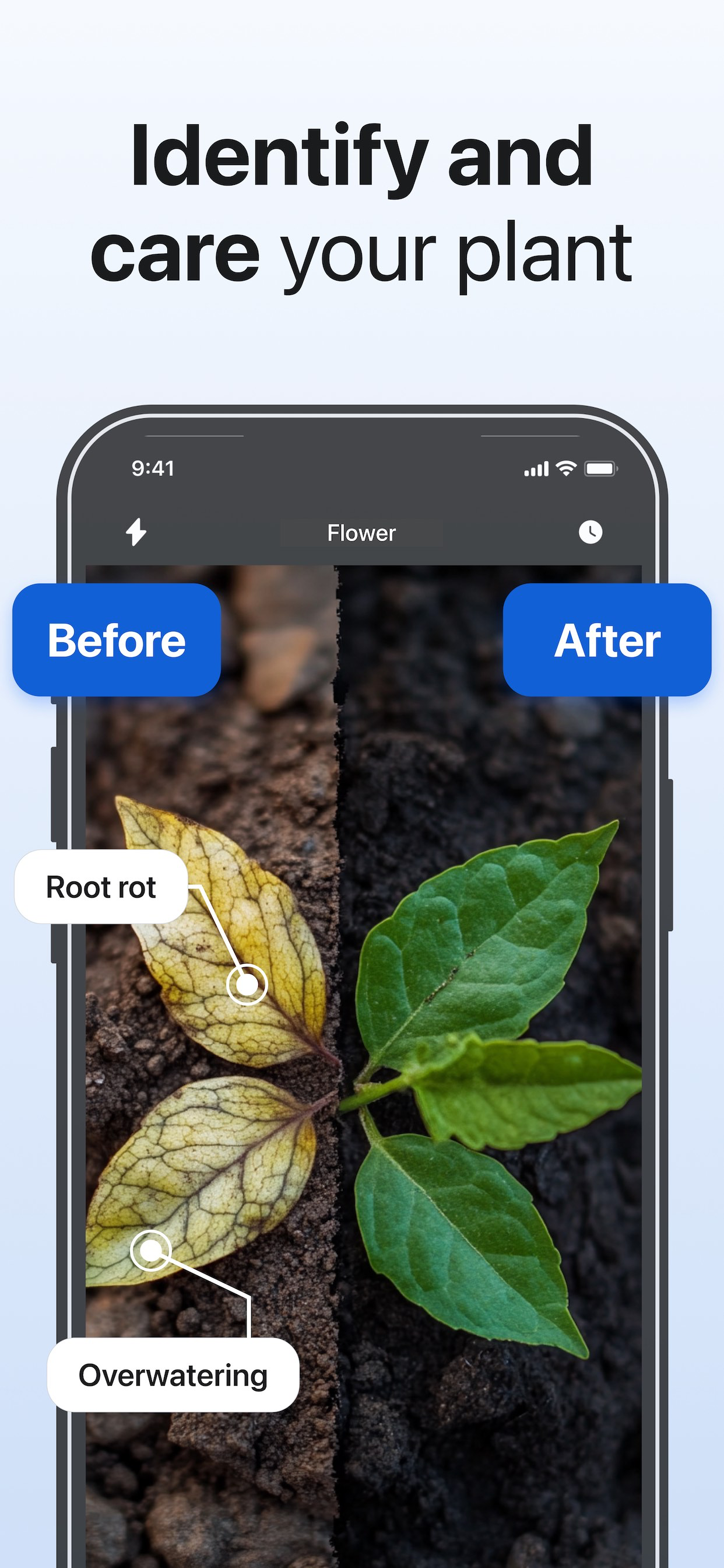 Lens AI: Scan Identify and Ask screenshot 2