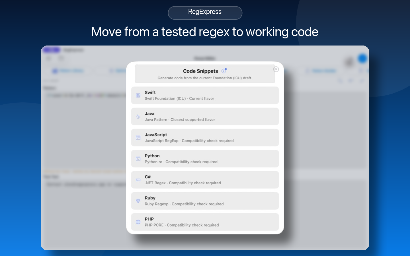 RegExpress screenshot 29