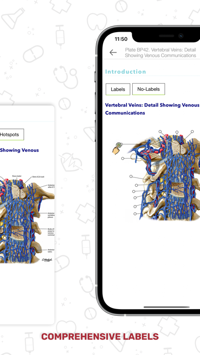 Human Anatomy Atlas + Screenshot 4 - AppWisp.com Human Anatomy Atlas + Screenshot 4 - AppWisp.com