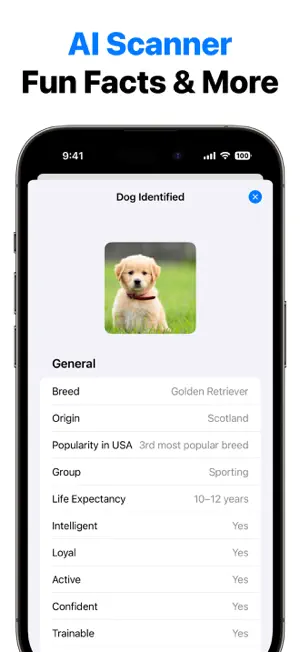 Dog Identifier Breed Scanner screenshot 4