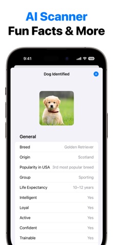 Dog Breed Identifier screenshot