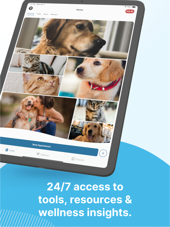 Thrive Pet Healthcare iPad screenshot 5 - Medical app
