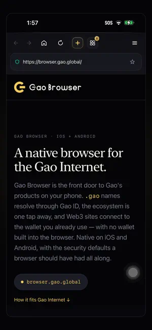Gao Browser screenshot 4