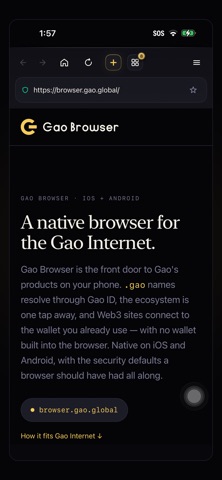 Gao Browser Screenshot 4 of 4