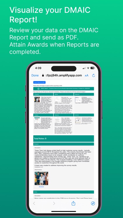 Lean D-M-A-I-C Rpt screenshot-4