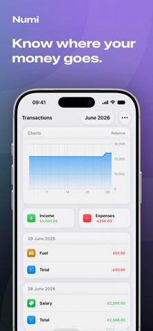 Numi: Budget & Expense Tracker Screenshot 3 of 4