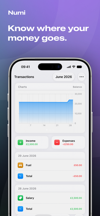 Numi: Budget & Expense Tracker Screenshot 3 of 4