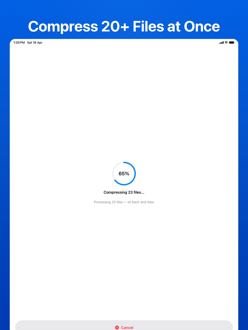 iPad screenshot