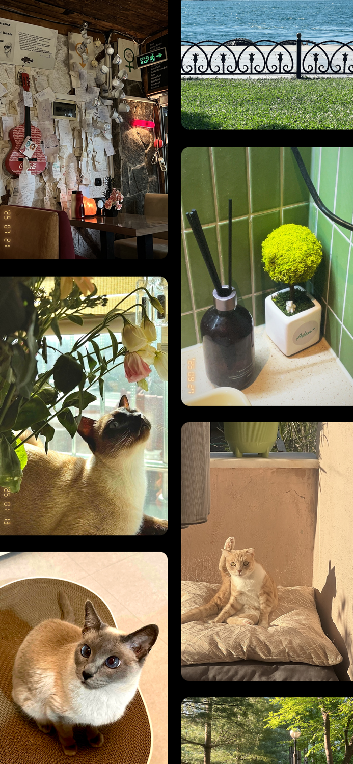 Névo - 단 하나의 필터로 완성되는 빈티지 감성