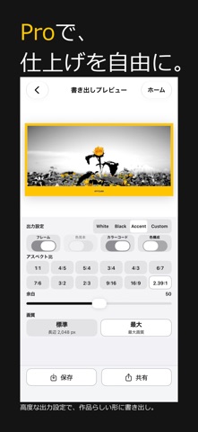 Accent - Selective Color iPhone screenshot 5