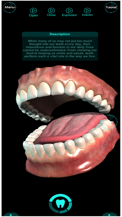 Dental Professional Screenshot