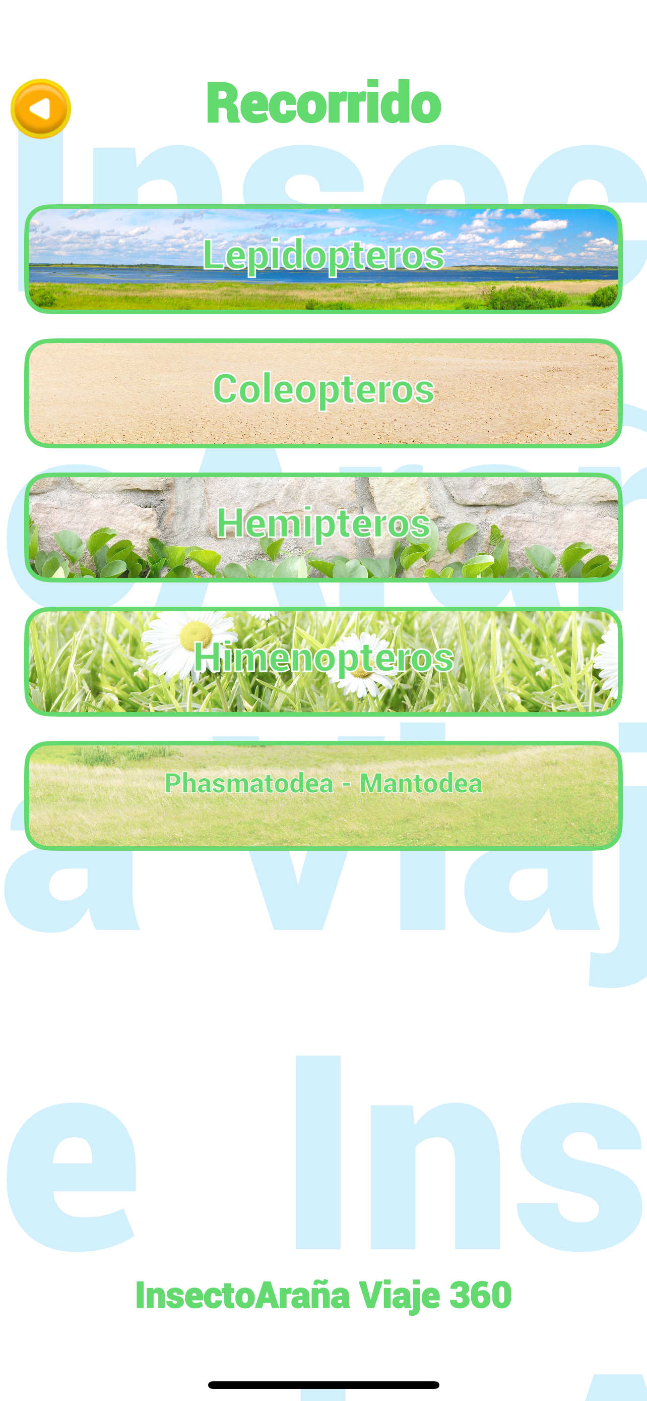 InsectoAraña Viaje 360