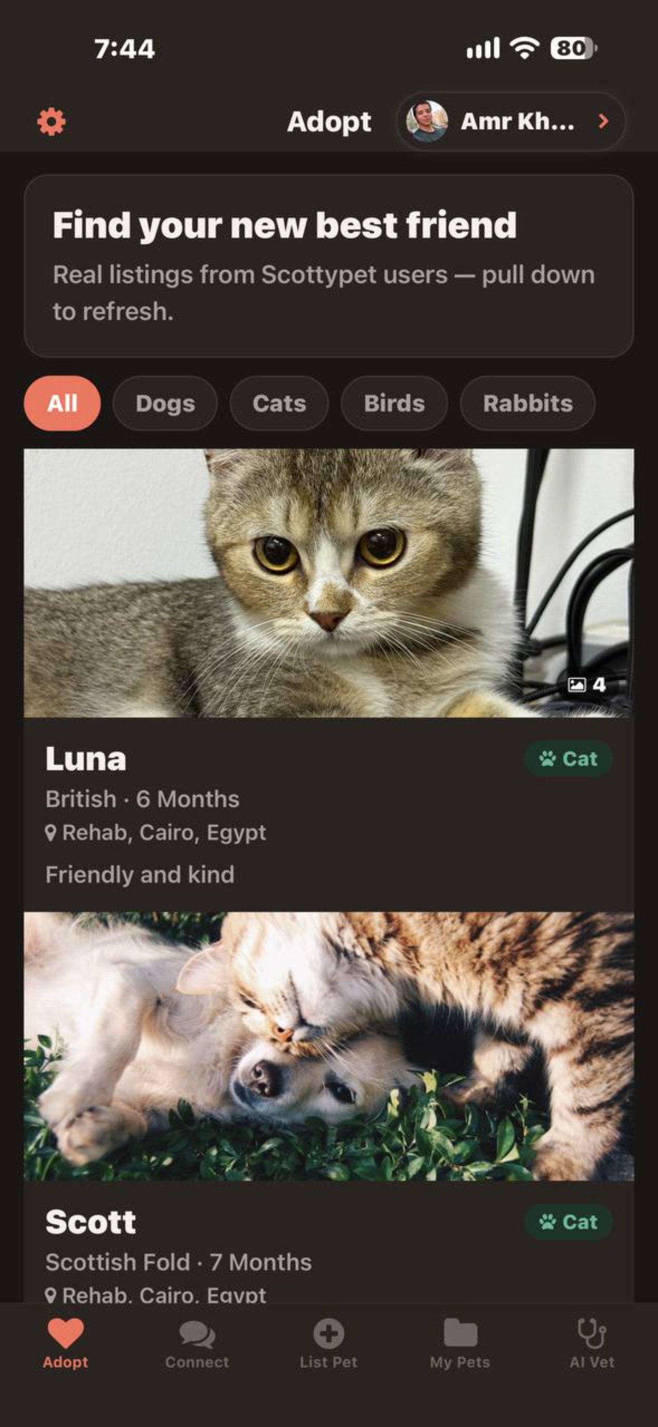 Screenshot 4 of ScottyPet