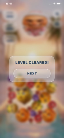Brain Drop: Fruit Merge screenshot