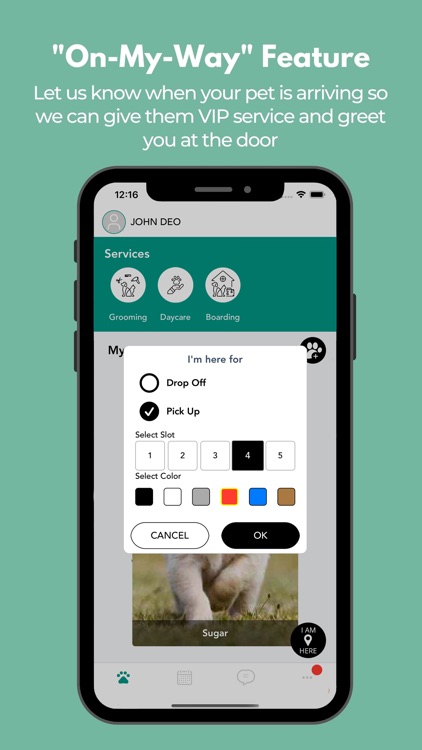 Head to Tail Groomology